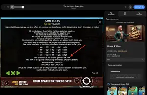 The Dog House Dog or Alive RTP 94.54% at Mr Punter — game rules screen
