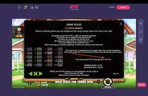 The Dog House RTP 95.51% at Wild Fortune — game rules screen