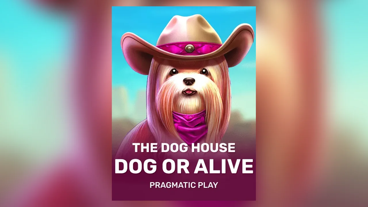 The Dog House Dog or Alive — демо и разбор
